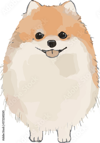 ポメラニアンのスケッチ風イラスト