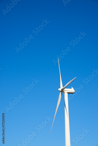 Wind turbine generator for renewable electricity production