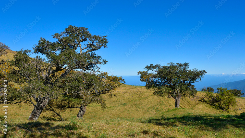 Paysage de l'île de la Réunion Paysage de l'île de la Réunion
