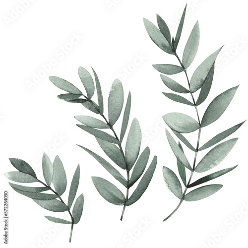 Set of watercolor green leaves. Hand drawn illustration isolated on white background.