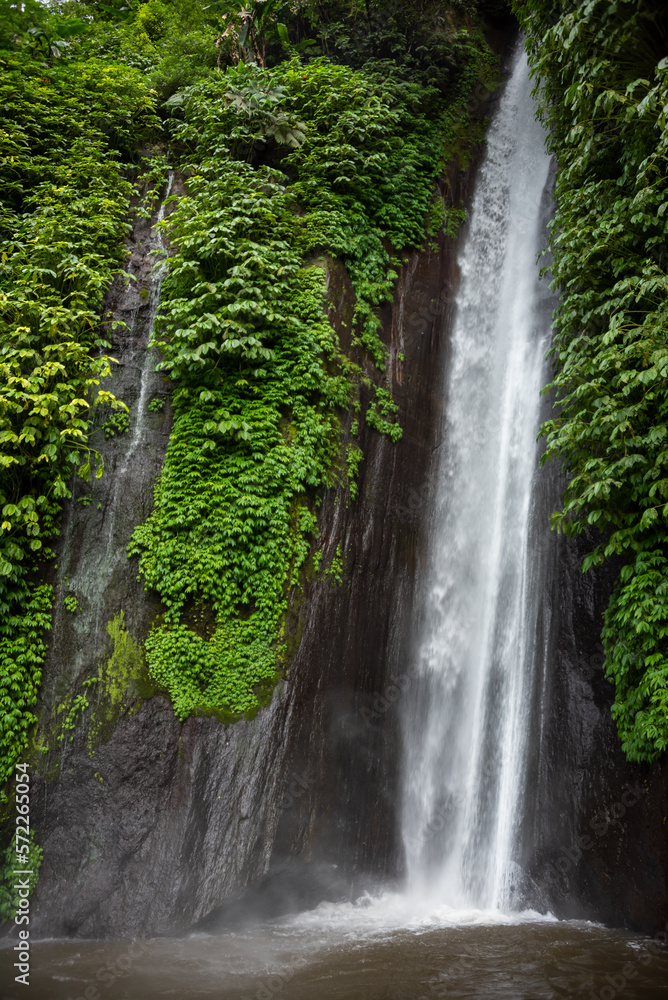 Waterfal in tropical forest in Bali, Indonesia