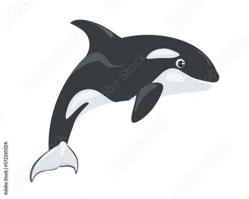 Cute orca jumping vector illustration isolated on white. Killer whale spirit. Cartoon sea animal. 
