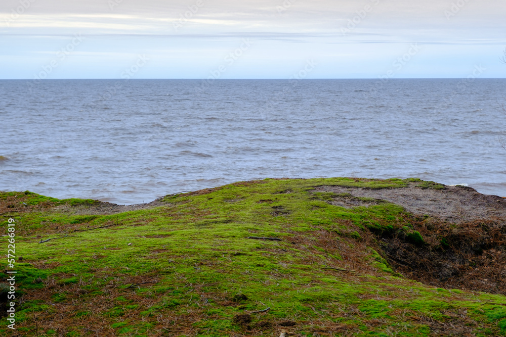 The dune coast of the Baltic Sea. the edge of the dunes with beautiful bright moss.