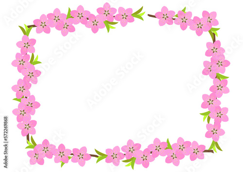 Frame of peach branches in full bloom