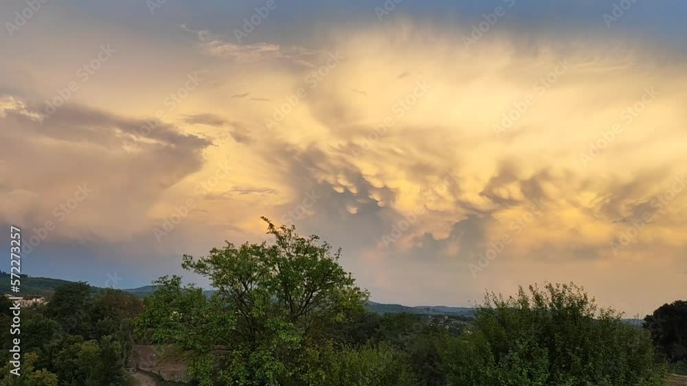 Beautiful clouds over a vineyard, making mesmerizing forms in a blue sky after a summer storm. Real time pan from left to right. Beautiful clouds over a vineyard, making mesmerizing forms in a blue sky after a summer storm. Real time pan from left to right.