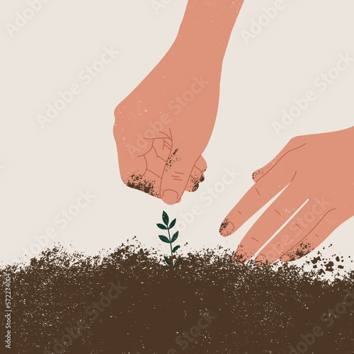 Hands planting a herb in a soil. Work in a vegetable garden. 