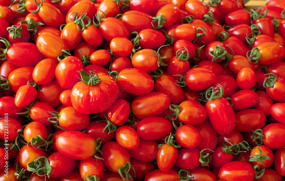 red tomatoes at the market red tomatoes at the market
