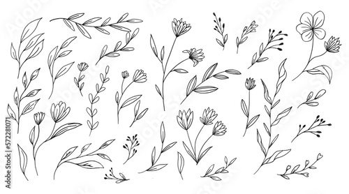 Doodle hand drawn leaves collection organic floral decorative