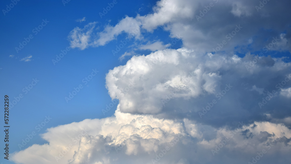 Fototapeta premium Cotton-shaped cumulus clouds seem to indicate an approaching storm on a clear blue sky