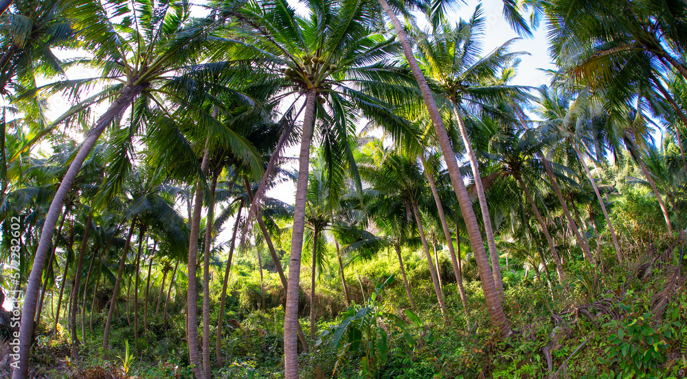 Beautiful scenery in Thailand