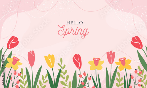 Hello Spring  Vector horizontal spring banner. Floral pink background. Tulips  colorful spring flowers and branches with leaves.