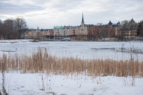 Canvas Print dry reeds on a frozen lake against the background of a historic street in the ce