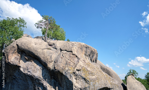 Huge rocky boulder formations high in mountains with growing trees on summer sunny day