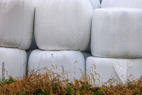 Large Hay Bales Wrapped in Plastic for Outdoor Storage on Farm