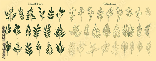 Set of leaves. Tropical plants. Herbarium. Perfect for herbal products designs.