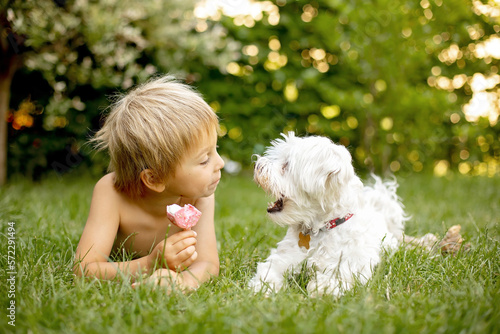 Photography Cute child, boy and his maltese dog, eating doughnut ice cream in the backyard o