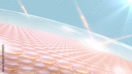 3D animation of skin cells. Skin cell with UV protection. Advertisements for cosmetics, sunscreen, Cream, and serum. Ultraviolet shield reflect.