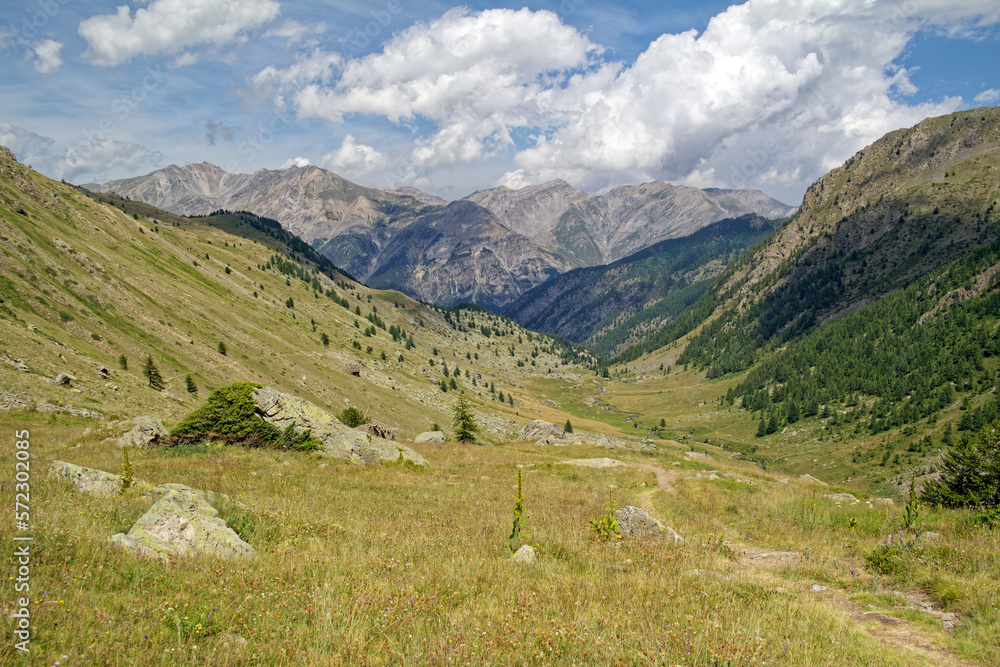 View of the Forneris Valley, Val Forneris, in the Cottian Alps, Maritime Alps, Western Alps, Italy, Europe