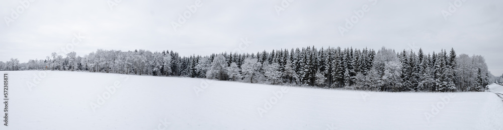Winterwald Panorama Winterwald Panorama