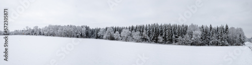 Winterwald Panorama 