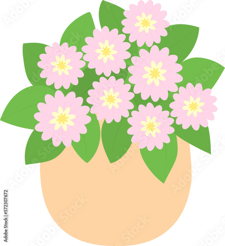 Flowers in pot vector illustration
