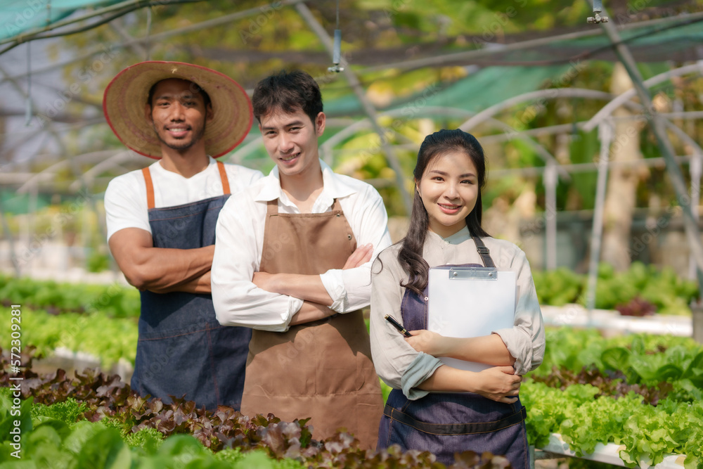 Hydroponics. Group of smiling Asian farmers with arms crossed and looking at camera as they harvest organic lettuce from the farm's export farm. Hydroponics. Group of smiling Asian farmers with arms crossed and looking at camera as they harvest organic lettuce from the farm's export farm.