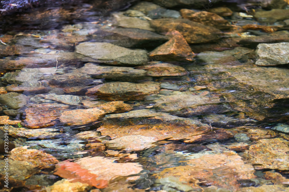 Colored rocks covered with water Colored rocks covered with water