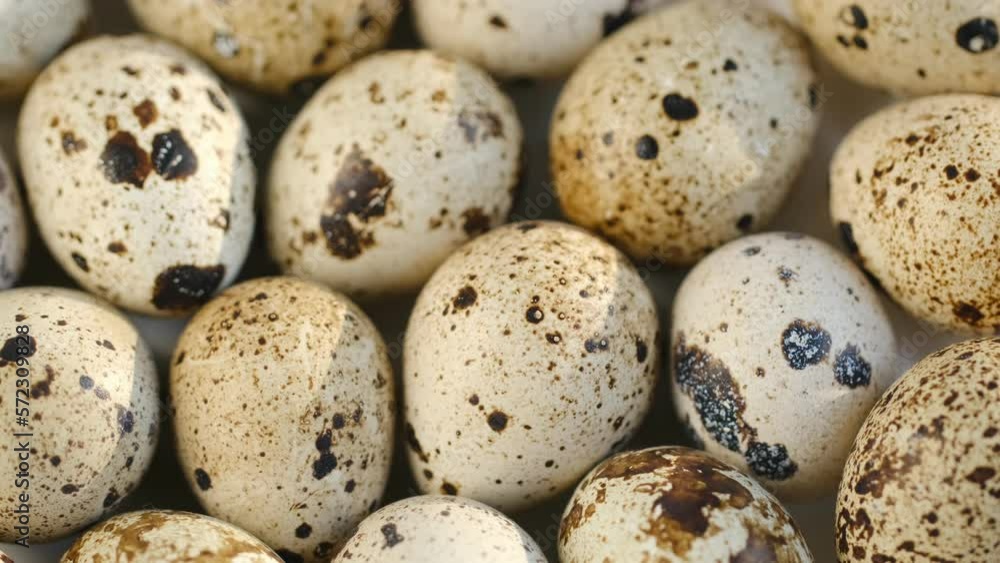 Quail egg, rotation shot, quail fresh raw eggs. Many fresh raw quail egg 4K Quail egg, rotation shot, quail fresh raw eggs. Many fresh raw quail egg 4K