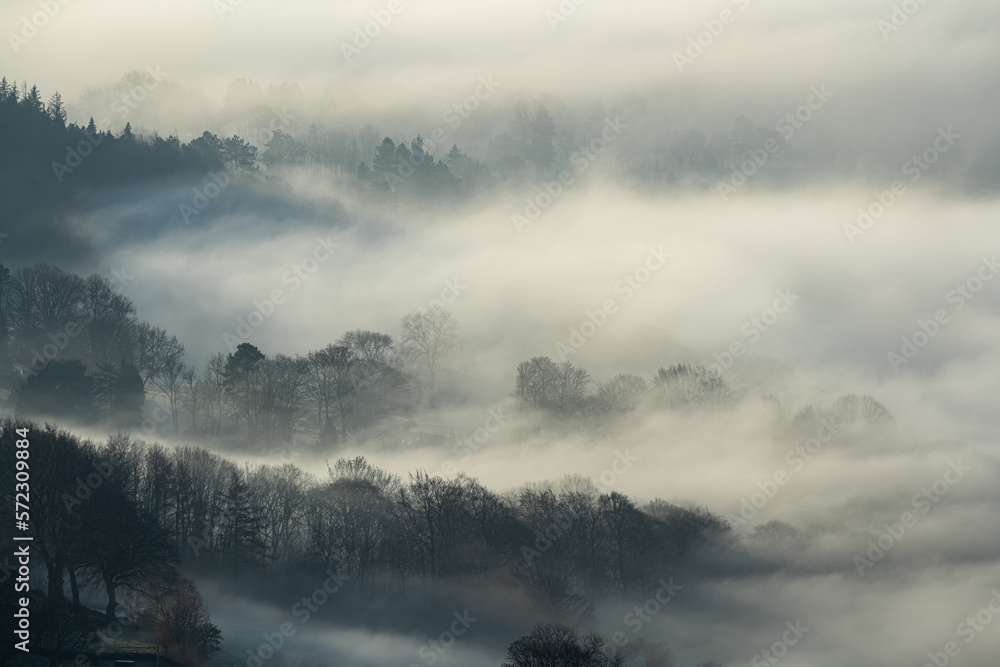 Trees and mist. Bamford Edge landscape vignette in the Peak District National Park, UK. Trees and mist. Bamford Edge landscape vignette in the Peak District National Park, UK.