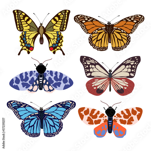 Collection of elegant exotic butterflies and moths isolated on white background. Set of tropical flying insects with colorful wings. Set of decorative design elements. Flat vector illustration. photo
