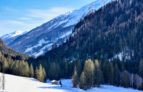 Virgen, Virgental, Winter, verschneit, Schnee, weiß, Weiler, Bauernhof, Gehöft, Tradition, Jahreszeit, Lasörlinggruppe, Berg, Welzelach, Rain, Gries, Niedermauern, Iseltal, Isel, Baum, kahl, Laubbaum, photo