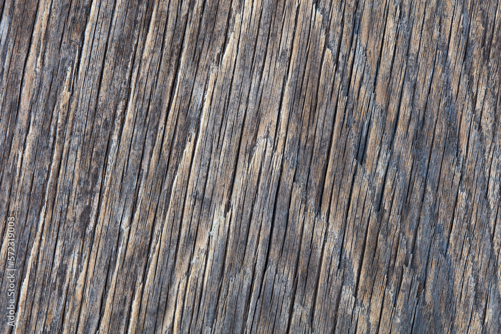 Old, dried wooden texture background Old, dried wooden texture background