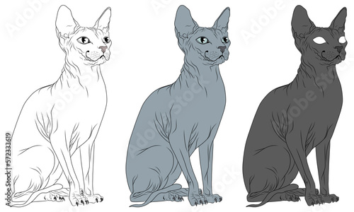 Set of hand drawn Sphynx cat vectors