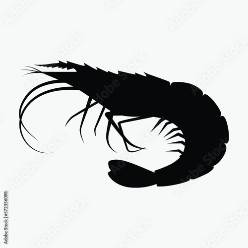 Shrimp vector illustration. White background.
