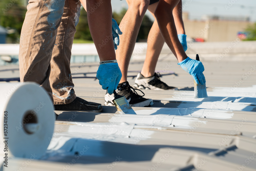 Fototapeta premium Men with Paint Brushes on a Roof