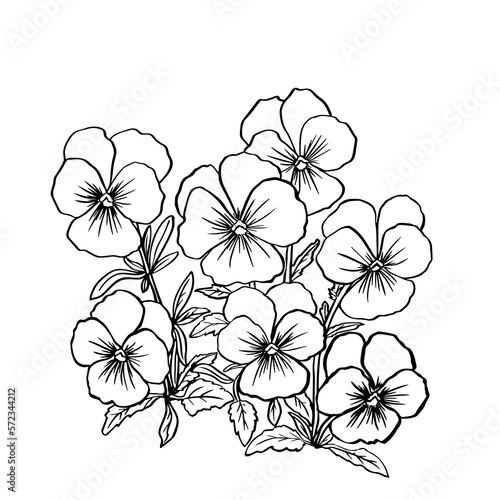 Black-and-white bouquet of violets with leaves and grass. Black outline on white background. Vector illustration