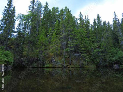Fresh forest pond on the edge of the prehistoric Siljan Ring impact crater in the woods of Styggforsen Nature Reserve in Boda  Dalarna County  Sweden.