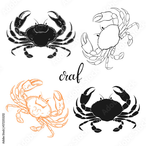 Crab. Hand drawn vector illustration, 4 isolated  elements on white background. Perfect for menu decoration, invitation, card and as a design element.