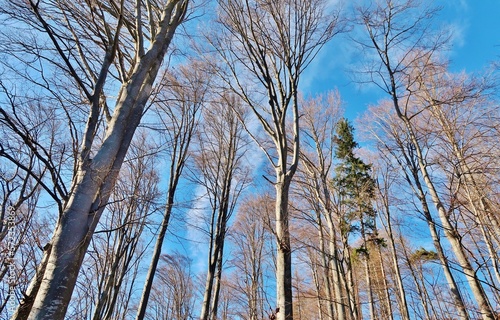 Frühling lässt sein blaues Band wieder flattern durch die Lüfte