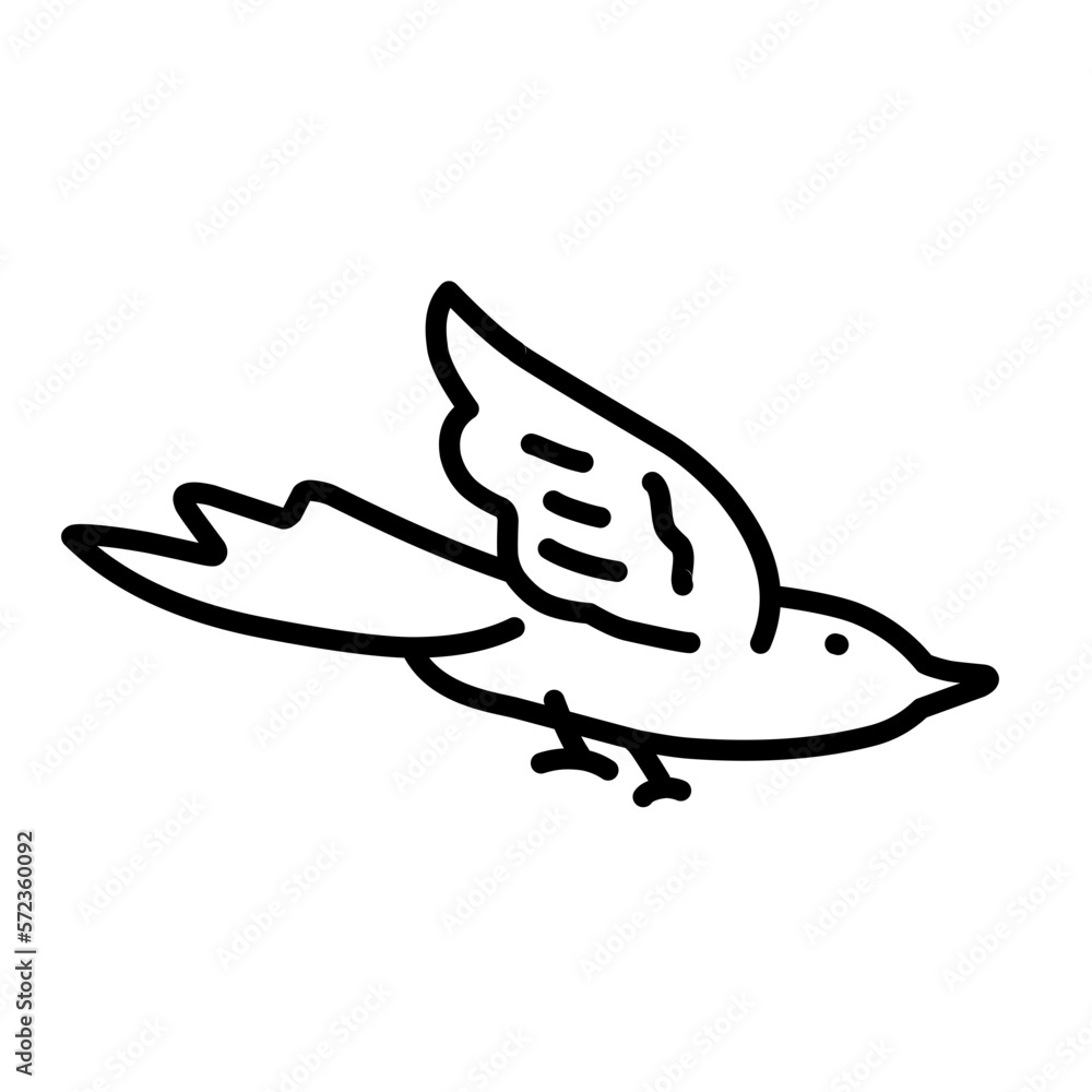 bird in flight bird in flight