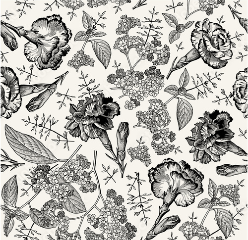 Seamless pattern carnation clove. Beautiful blooming realistic isolated flowers. Vintage background fabric wildflowers. Wallpaper heliotrope Drawing engraving sketch Vector illustration
