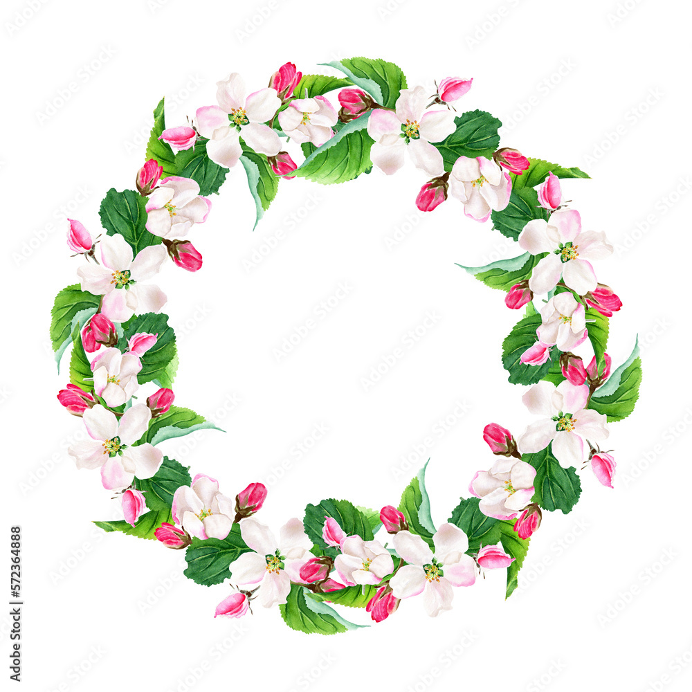 Fototapeta premium Apple tree blooming floral wreath. Watercolor illustration isolated on white