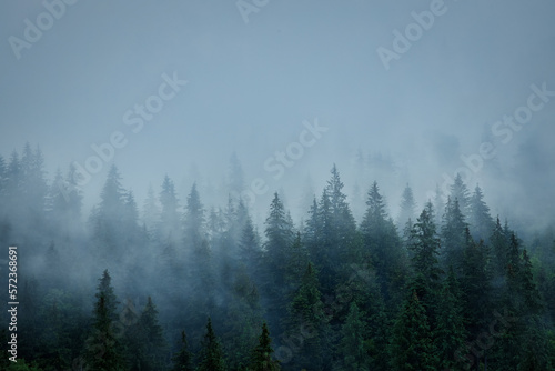 Landscape with fog in mountains