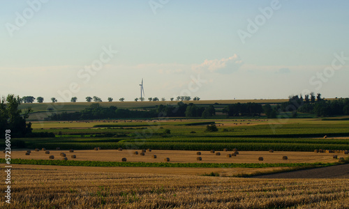 Rolnictwo  © zibi