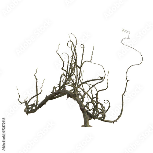 3d render isolated briar thorn patch