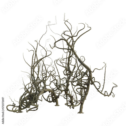 3d render isolated briar thorn patch