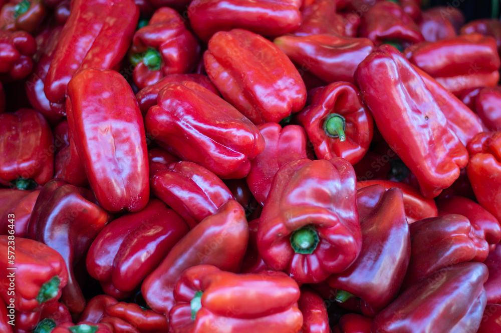 Bulk red peppers for sale in the market Bulk red peppers for sale in the market
