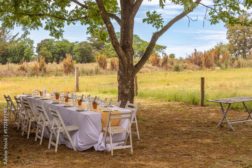 Elegant Outdoor Dining Table in a Meadow Under a Tree, Farm to Table Meal,  Montevideo Uruguay