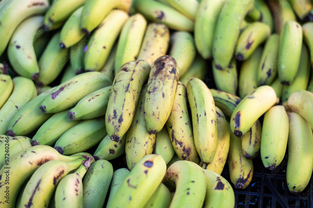 Bananas from the Canary Islands in bulk for sale in the market