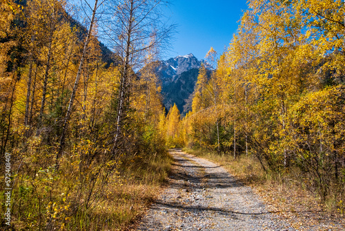 autumn in the mountains